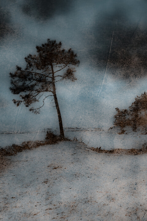 L'ARBRE DE GATSEAU BLEU Photography, 23.2x16.5 in