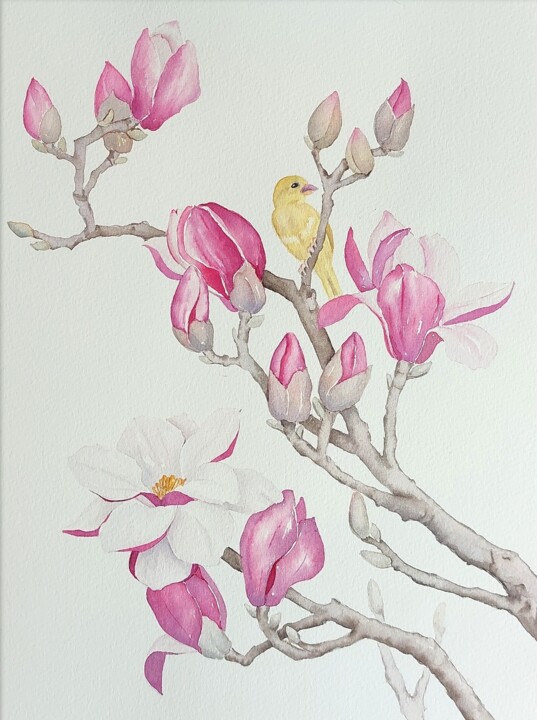 Magnolia #1 绘画, 12.2x9.1 in