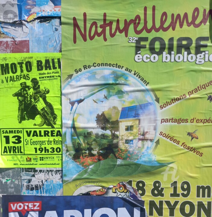 Affiche sauvage 15 摄影