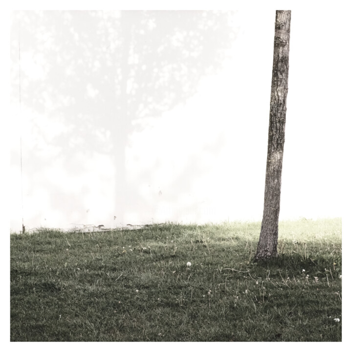 "postmodernism" başlıklı Fotoğraf Zheka Khalétsky tarafından, Orijinal sanat, Fotoşopsuz fotoğraf