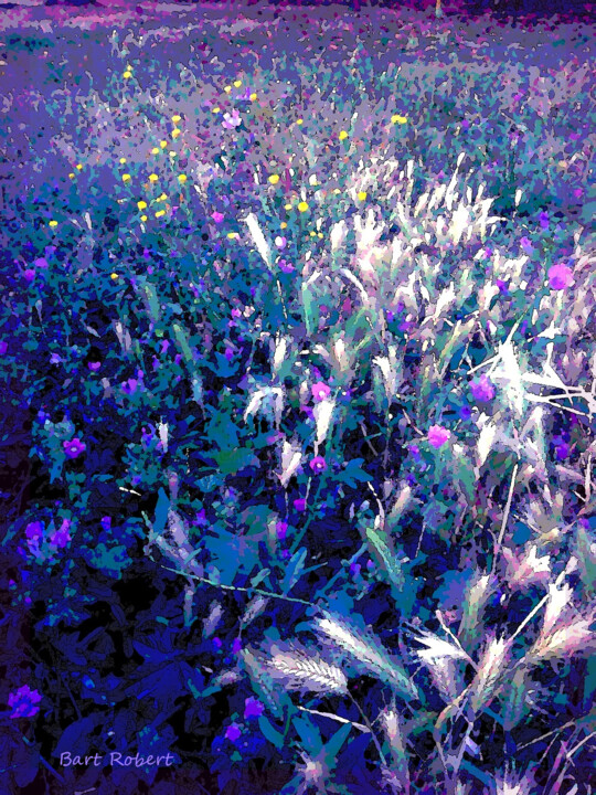 Fiori di prato 数字艺术