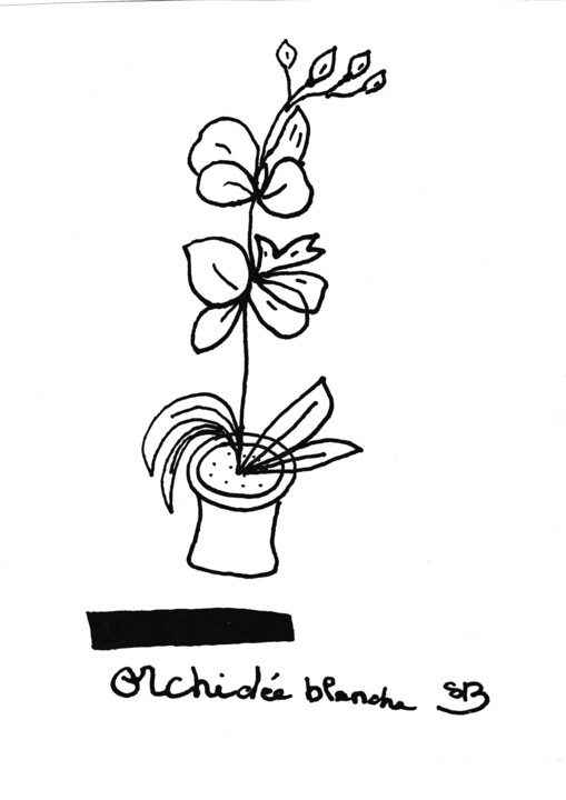 Orchidée blanche 绘画, 11.4x8.3 in