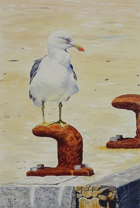 MOUETTE SUR BOLLARD 绘画, 15.4x10.6 in