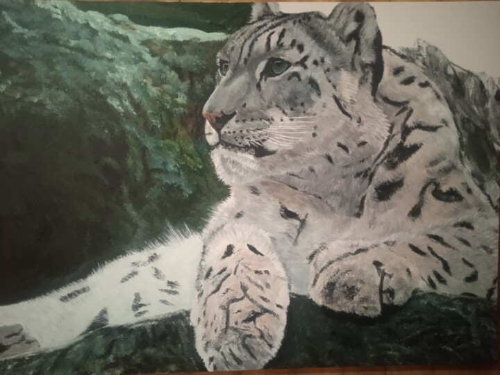 绘画,  19.7x27.6 in 