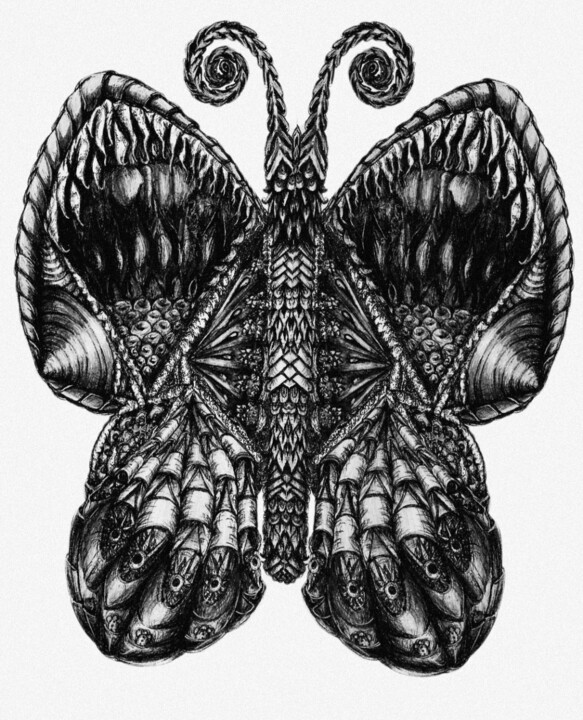 Butterfly 图画, 19.7x15.8 in