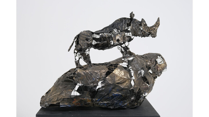 Escultura titulada "G20" por Emre Aksu, Obra de arte original, Alambre