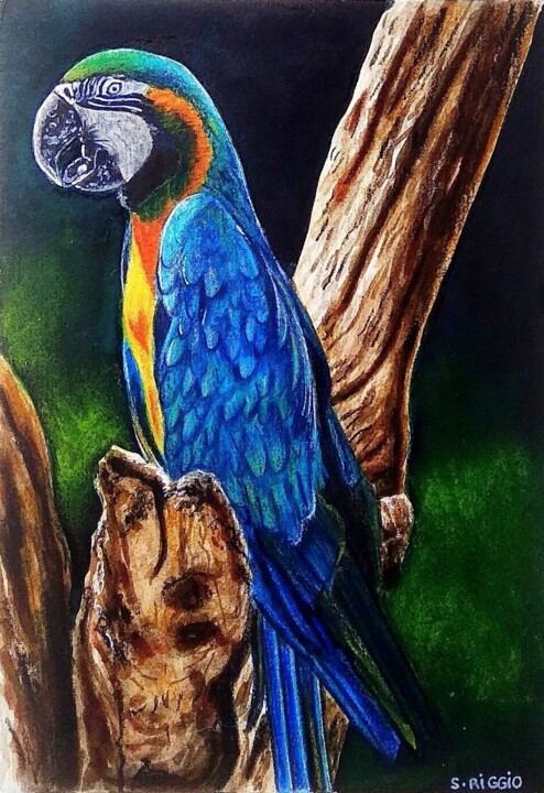 Perroquet ara bleu 绘画, 7.1x4.9 in