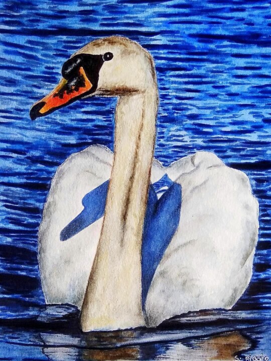 Cygne 绘画, 9.5x7.1 in