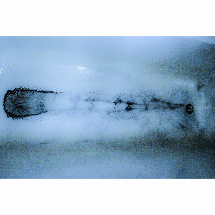 摄影,  31.5x31.5 in 