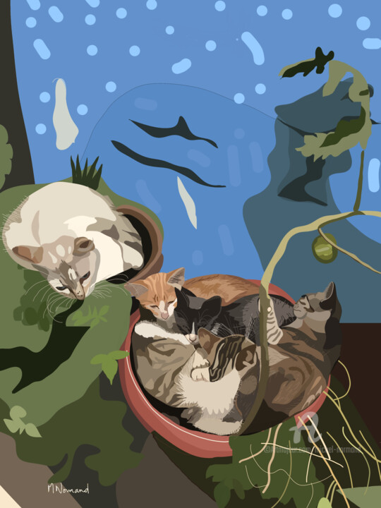 2024-05-09 Maroc-Safi-Les Chats 数字艺术