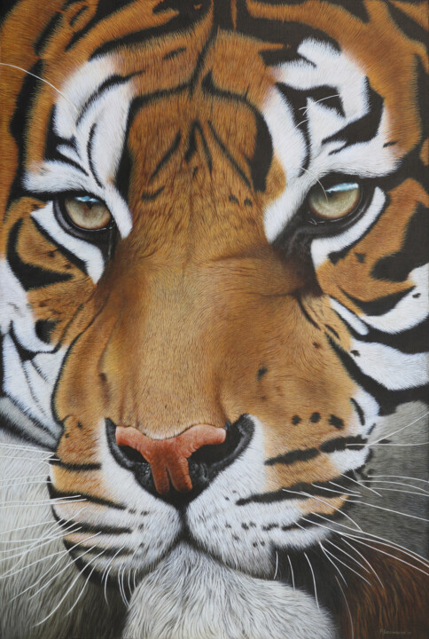 Tiger Khan II 绘画, 53.2x35.4 in