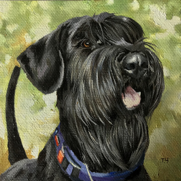 Giant schnauzer 绘画, 3.9x3.9 in