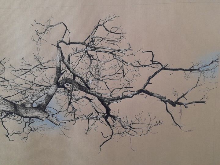 Drawing,  19.7x27.6 in 
