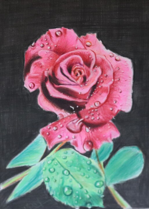 Drawing titled "Dew drops on Rose" by Kamal Raj Thakur Utsav Thakur, Original Artwork, Pencil