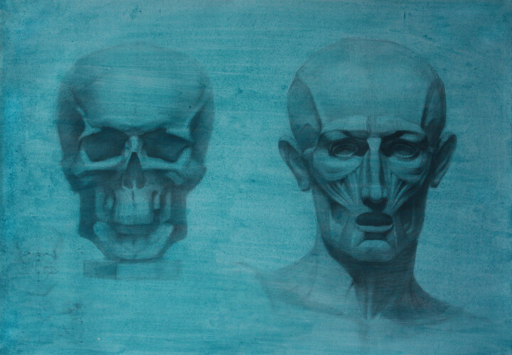 Scull and ecorche Картина, 18,4x26,7 in