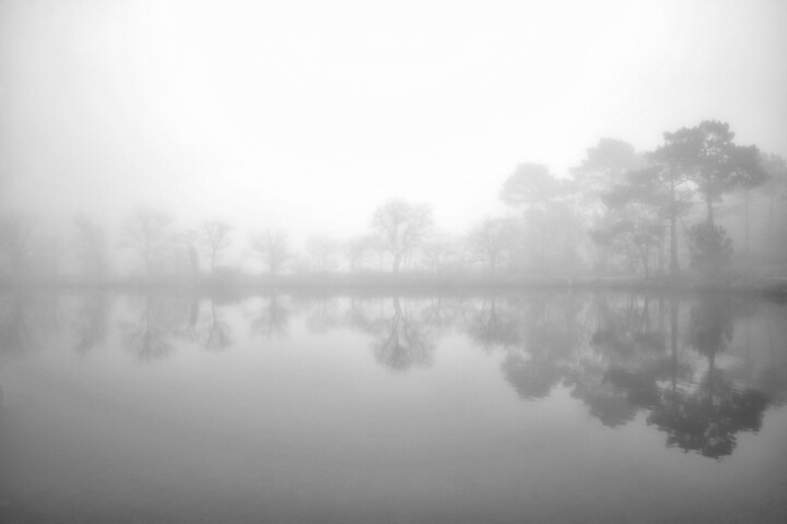 L'esprit des Landes (4) Фотография