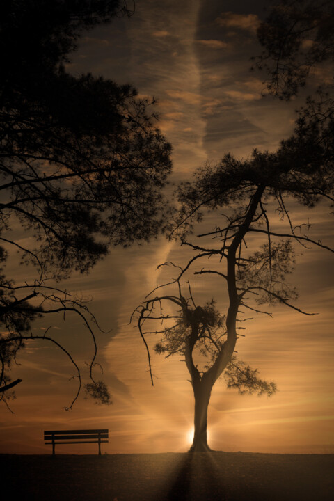Lux aeterna (5) Photography