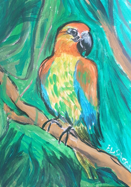 pappagallo 绘画, 15.8x11.8 in