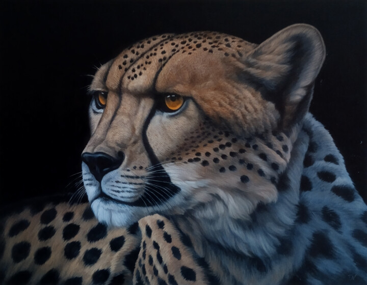 绘画,  27.6x35.4 in 