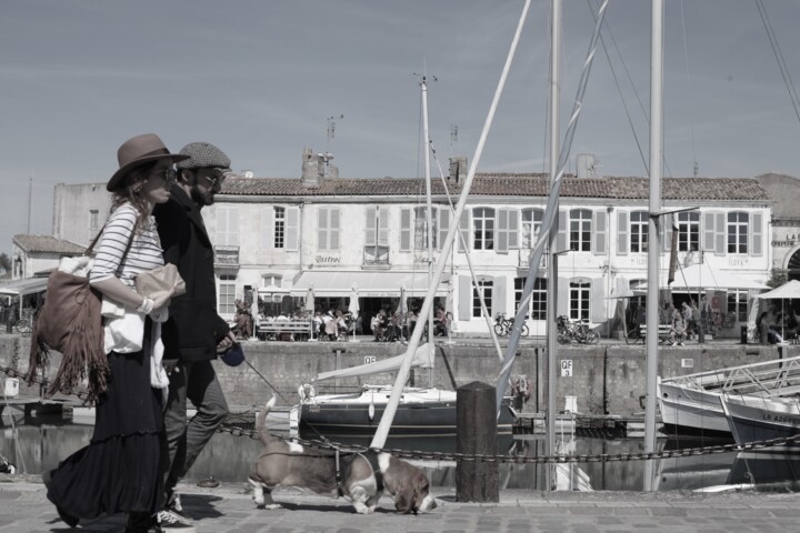 Chien de Ré Vintage 摄影