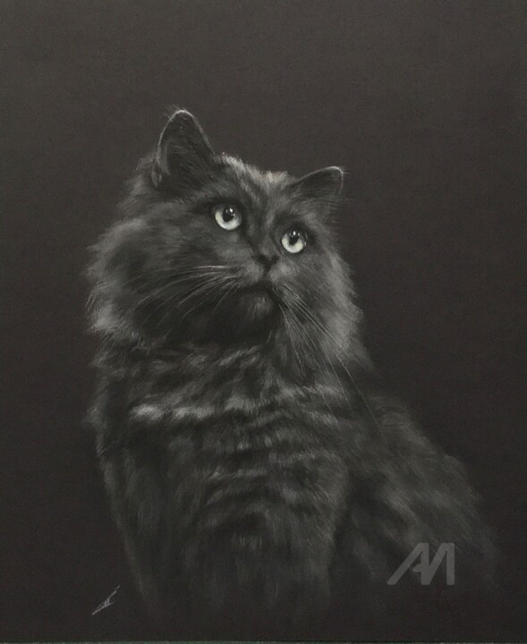 Black 图画, 11.8x9.8 in