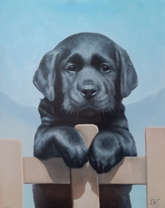 Black Doggy 绘画, 19.7x15.8 in