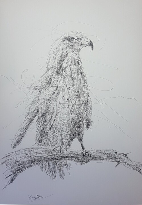 Buse 图画, 16.1x12.2 in