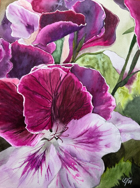 Purple Geraniums 绘画, 12x9 in