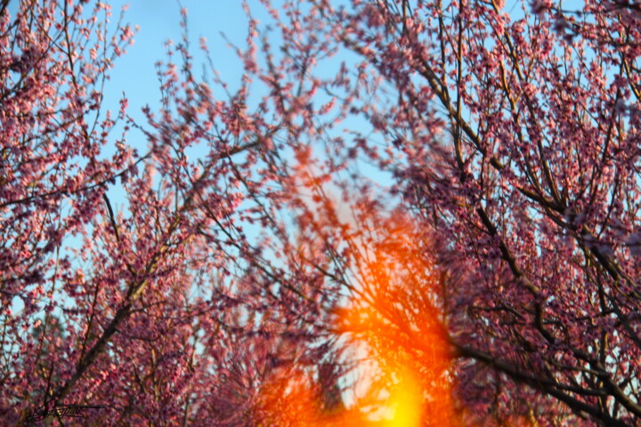 De brume et de feu 3 Fotoğraf