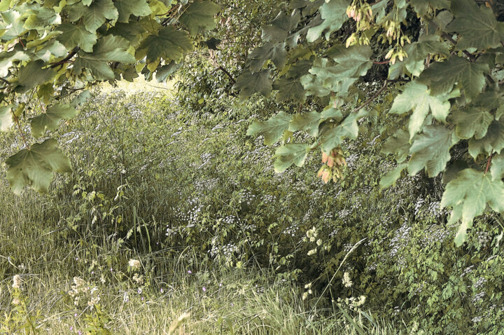Généreuse Nature Fotoğraf, 11x16,5 in