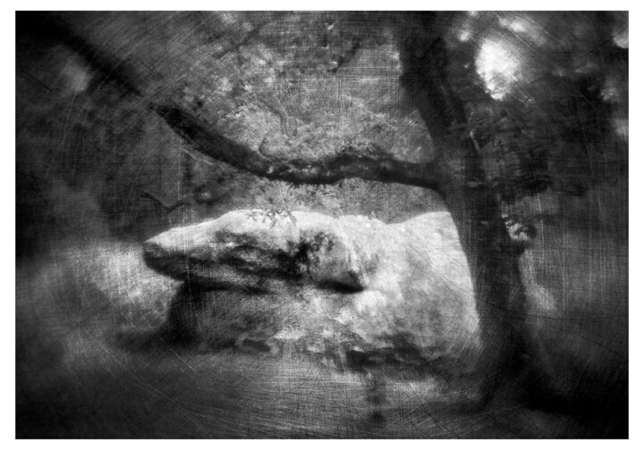 Photographie intitulée "Expérimentation #10…" par Olivier Pasquiers, Œuvre d'art originale, Photographie non manipulée