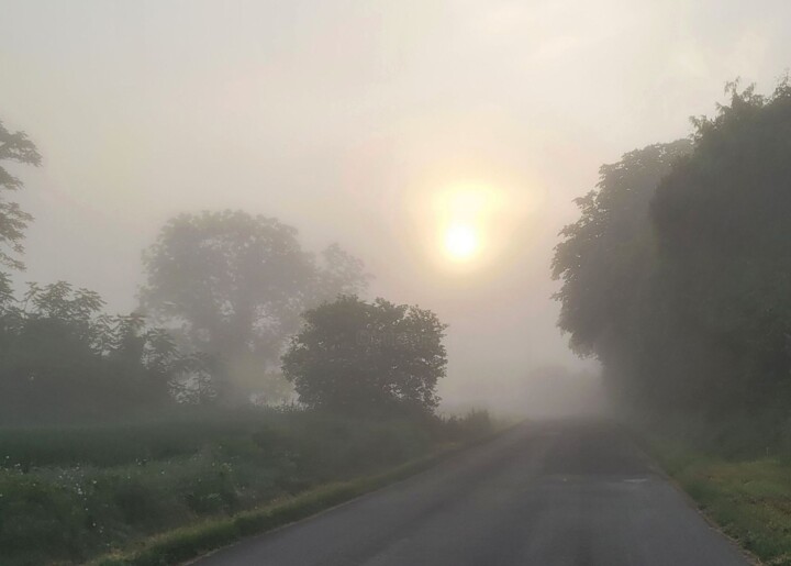 Photography titled "brouillard" by Pascal Buffard, Original Artwork, Non Manipulated Photography