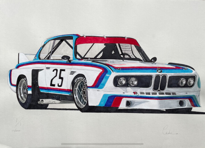 BMW 3.0 csl 图画, 11.4x16.5 in