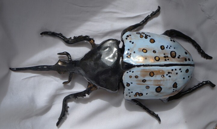 COLEOPTERE NOIR ET BLEU Heykel, 2,4x13,4 in
