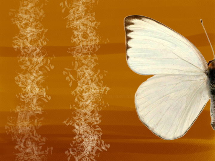 Digital Arts titled "Sunrise" by Roxana Ferllini, Original Artwork, Photo Montage