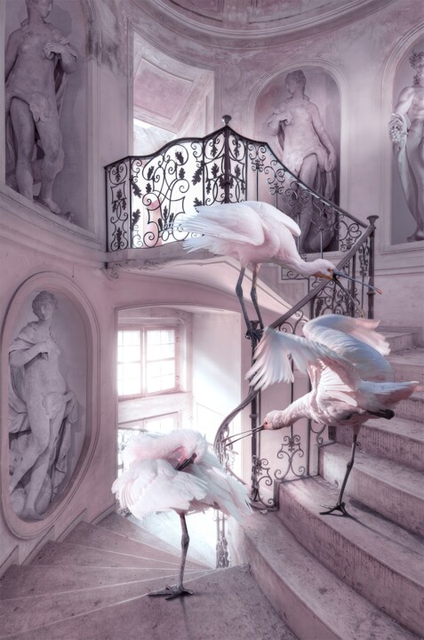Symphony In Pink (Frame Incl.) - Limited Edition of 7 摄影, 47.2x31.5 in