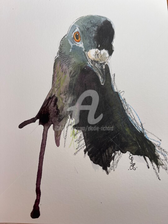 제목이 "Gringo, the rescued…"인 미술작품 Elodie M. Richard로, 원작, 수채화