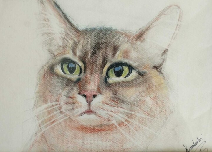 图画,  7.9x11 in 