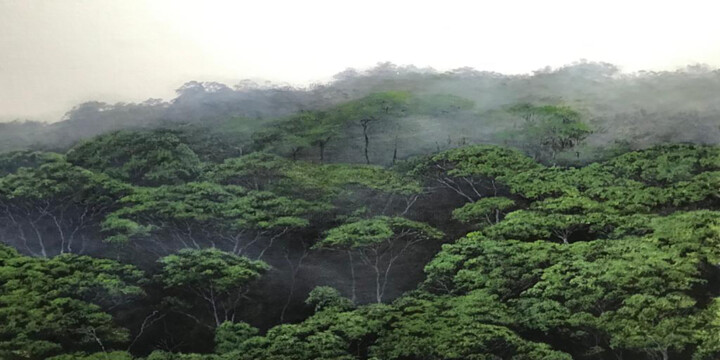 Misty Tops 绘画, 18x32 in