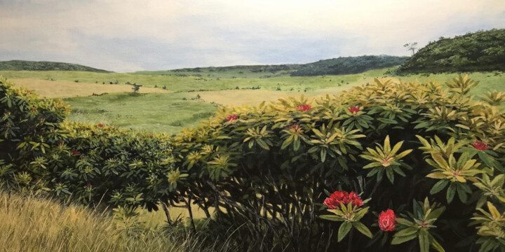 Peinture intitulée "Cold Plains" par Nuwan Darshana, Œuvre d'art originale, Acrylique