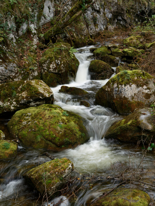 Agua II Фотография