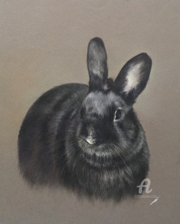 Zeichnungen mit dem Titel "Lapin noir" von Irene_art, Original-Kunstwerk, Pastell