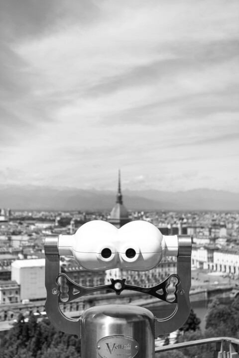 Alpes Suisses 13 摄影, 39.4x27.6 in