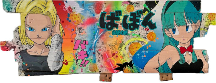 Tableau POP ART C18 Vs Bulma 绘画, 23.6x53.2 in