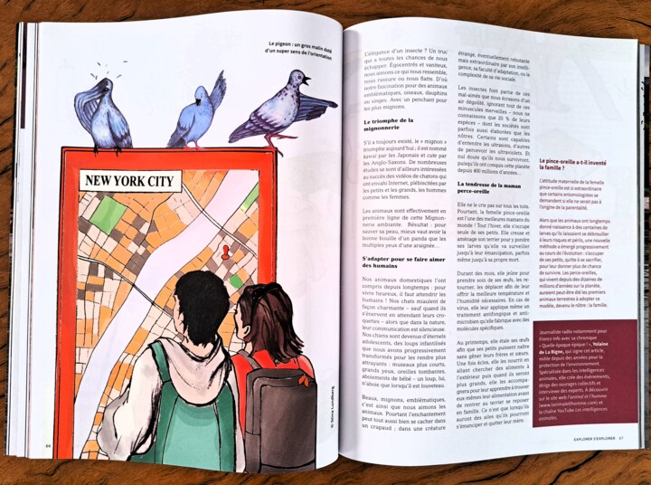 Illustration LA TRIBU DU VIVANT - Pigeon GPS Drawing