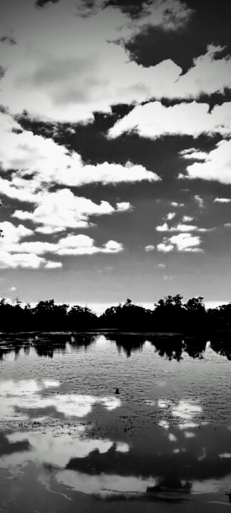 Photography titled "Grayscale one" by C.R. Kunferman, Original Artwork, Analog photography
