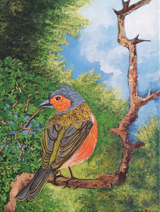 Pinson des arbres mâle 绘画, 15.8x11.8 in