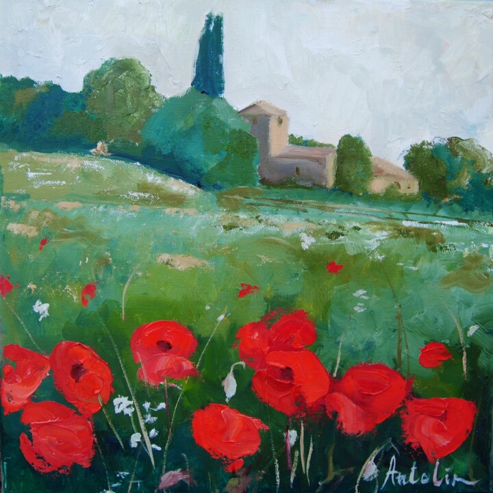 Painting titled "amapolas de primave…" by Carlos Antolin, Original Artwork, Oil