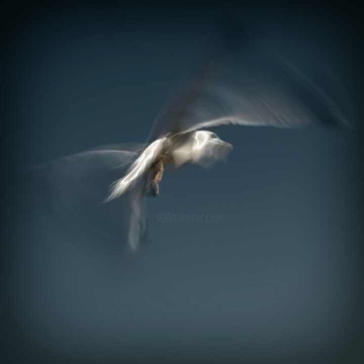 Soaring Hight III 摄影, 18.4x18.4 in