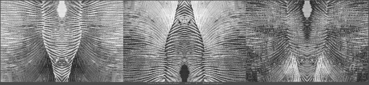 Photographie intitulée "(2012) "There's no…" par Sarah Leseigneur, Œuvre d'art originale, Photographie numérique